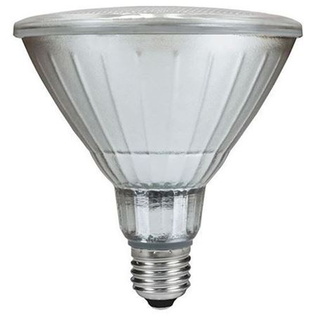 Picture for category PAR 38 LED Bulbs
