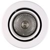 Picture of SylFire Mains Voltage Fire Rated Tilting Downlight