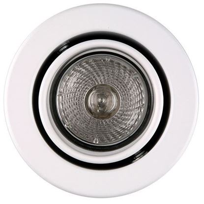 Picture of SylFire Mains Voltage Fire Rated Tilting Downlight