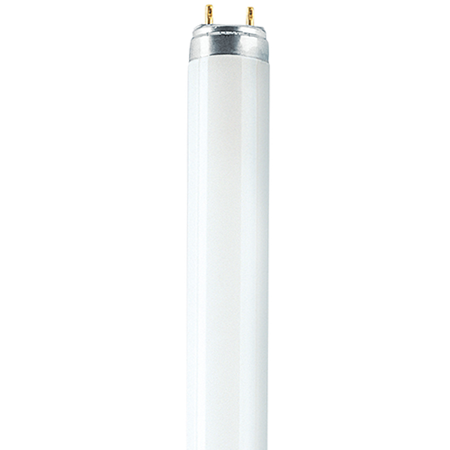Picture for category T8 Biolux and Natura Fluorescent Tubes