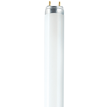 Picture of T8 Lumilux Deluxe Fluorescent Tube