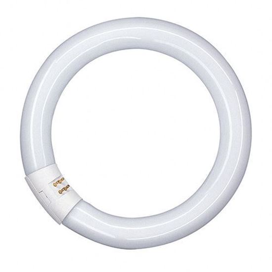 Picture of 32W Lumilux T9 Circular Fluorescent Lamp G10Q