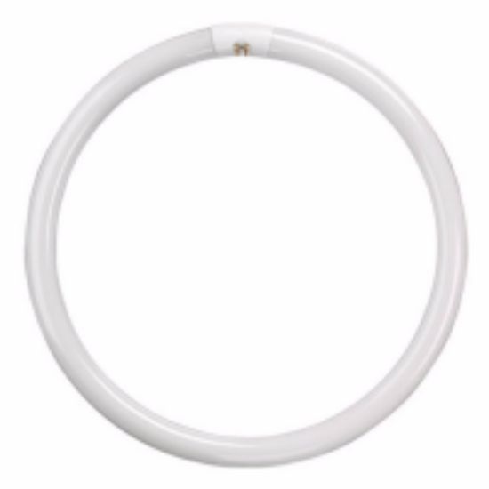 Picture of T9 Circular Triphosphor G10q 40W 400mm