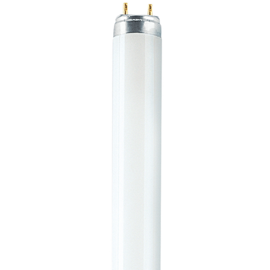 Picture of T8 Lumilux Deluxe 36W Cool White