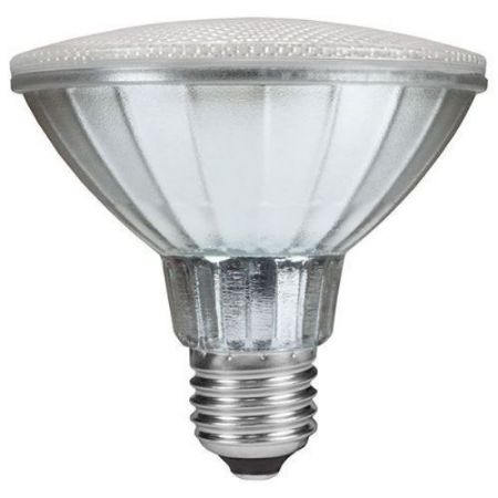 Picture for category PAR 30 LED Bulbs