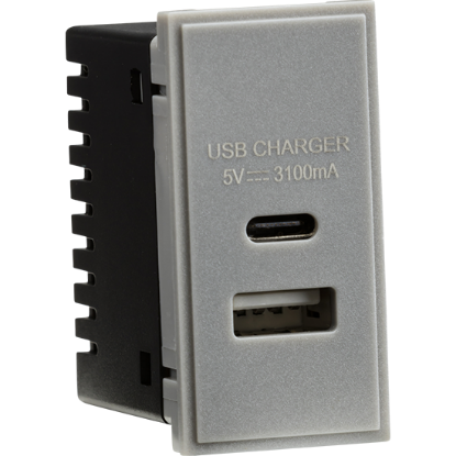 Picture of Dual USB Charger (3.1A) Module 25 x 50mm - Grey