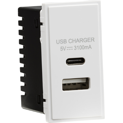 Picture of Dual USB Charger (3.1A) Module 25 x 50mm - White