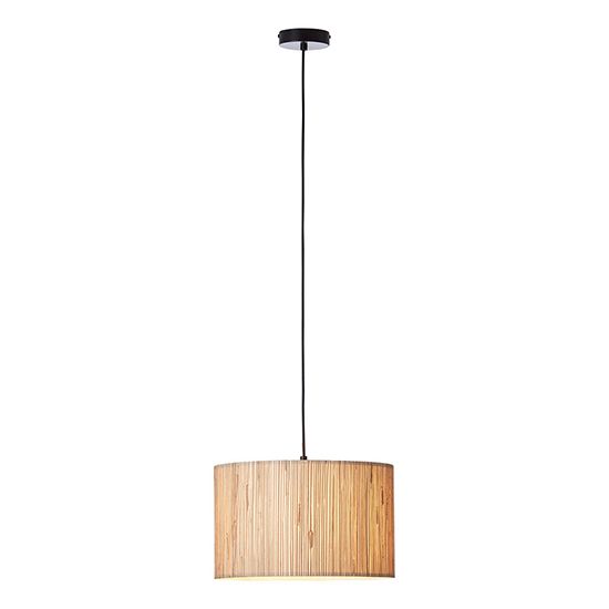 Picture of Longshore Pendant