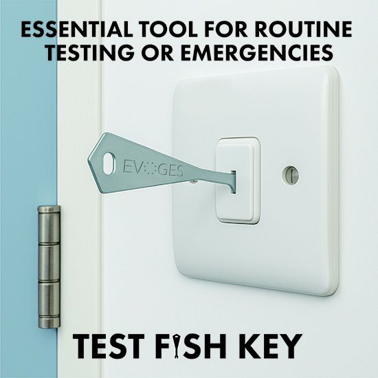Picture of Test Fish Key for Secret Emergency Light, Grid Switches Replacement Key  - Pack of 10