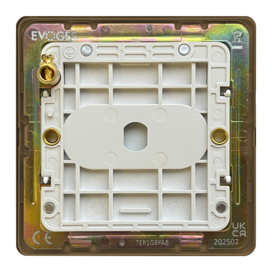 Picture of Terra 1 Gang Blanking Plate Antique Brushed Brass 