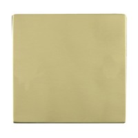 Picture of Sheer Screwless PB/WH Single Blanking Plate